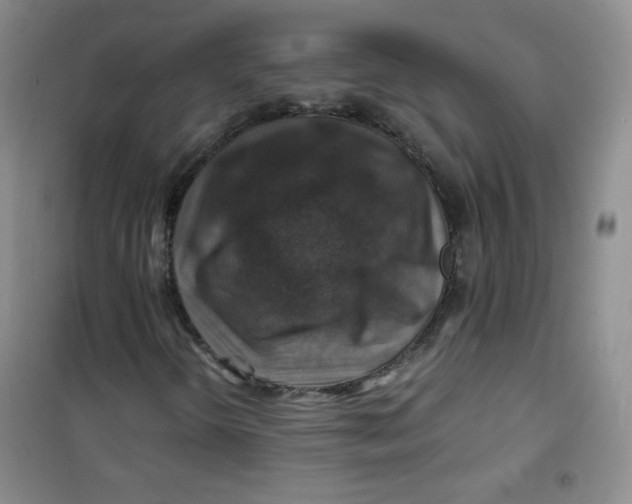 X0000100951298200807221111