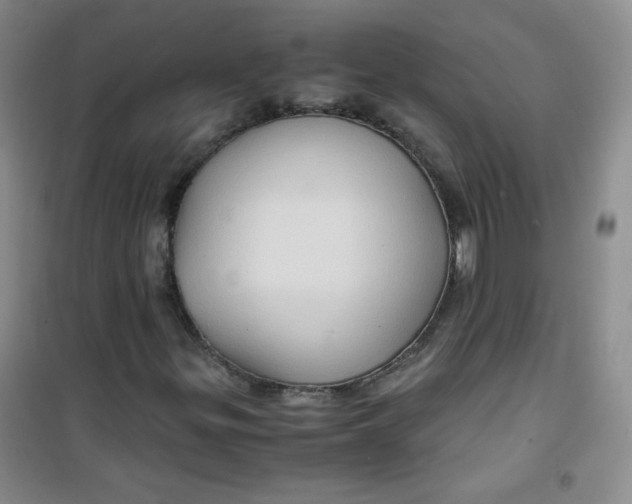 X0000100951299200807221111