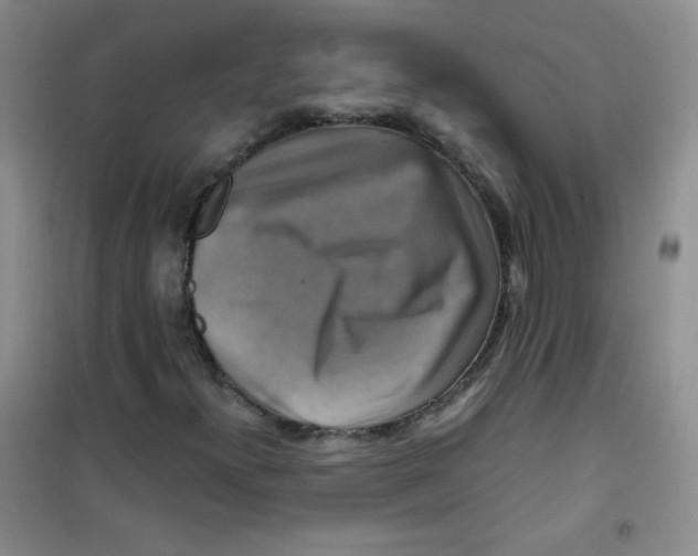 X0000100951300200807221111