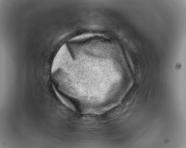 X0000100951301200807221111