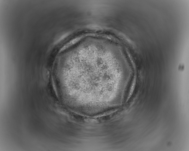 X0000100951302200807221111