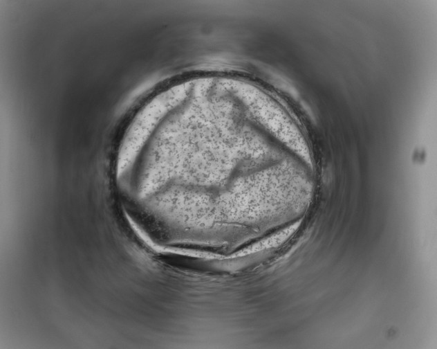 X0000100951304200807221111