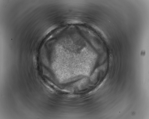 X0000100951305200807221111