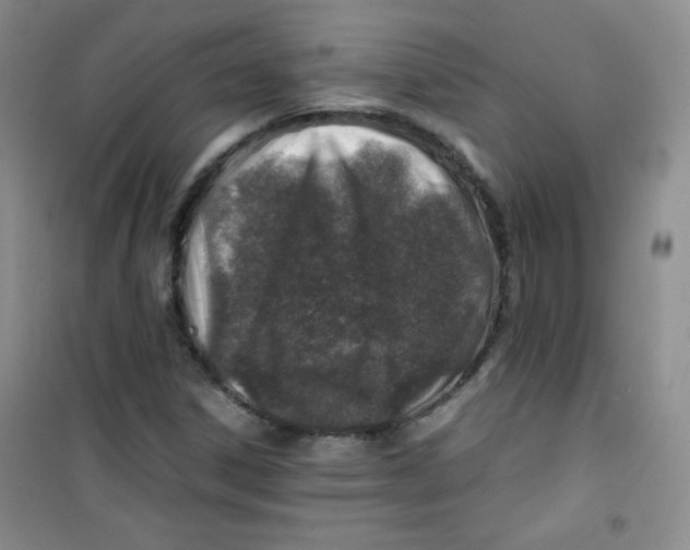 X0000100951306200807221111