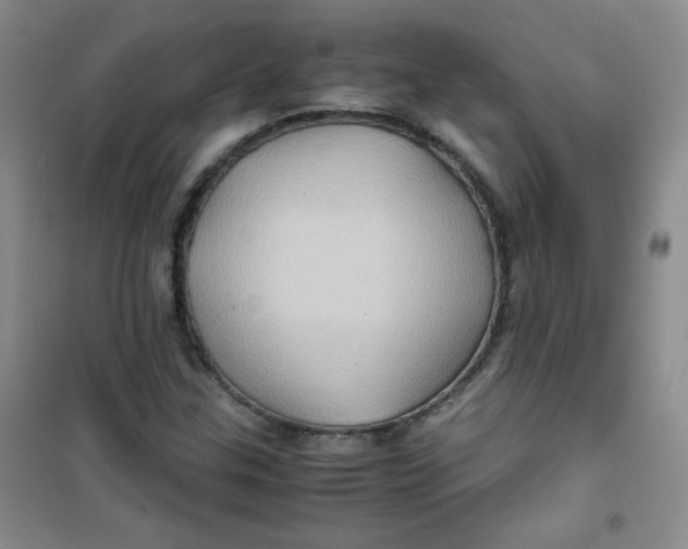 X0000100951307200807221111