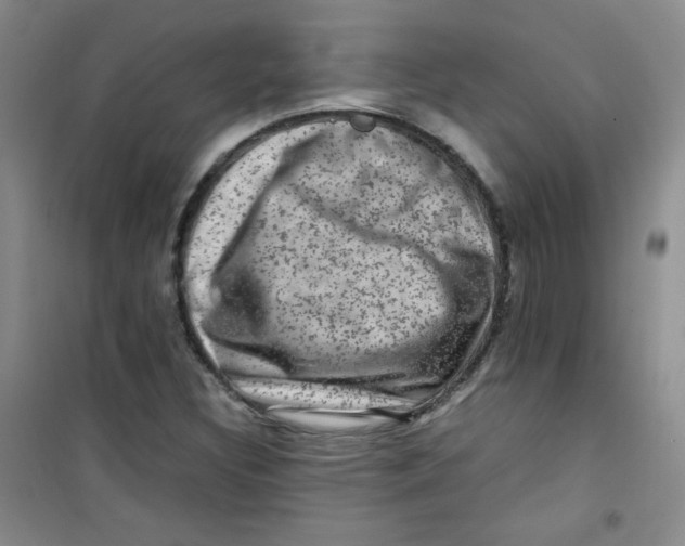 X0000100951308200807221111