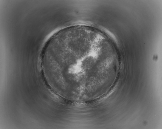 X0000100951310200807221111