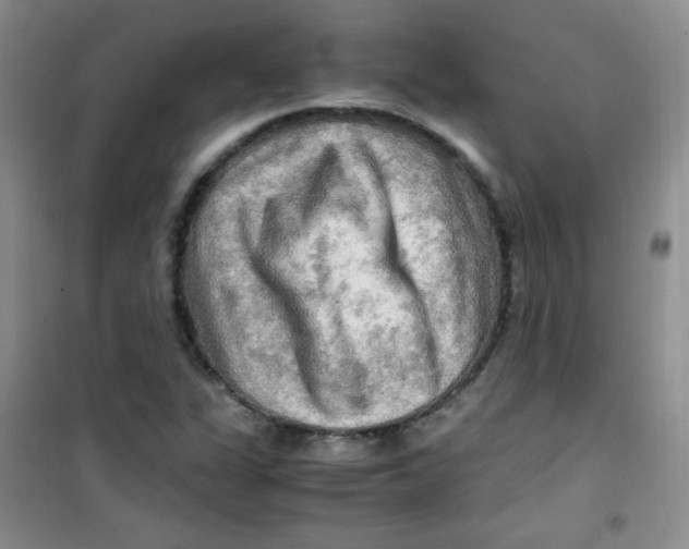 X0000100951311200807221111