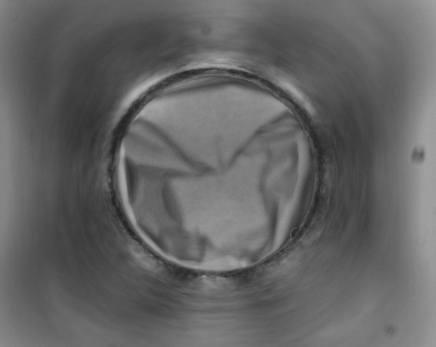 X0000100951312200807221111