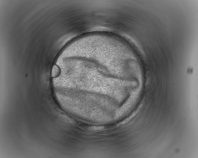 X0000100951313200807221111