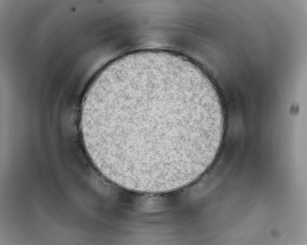 X0000100951314200807221111