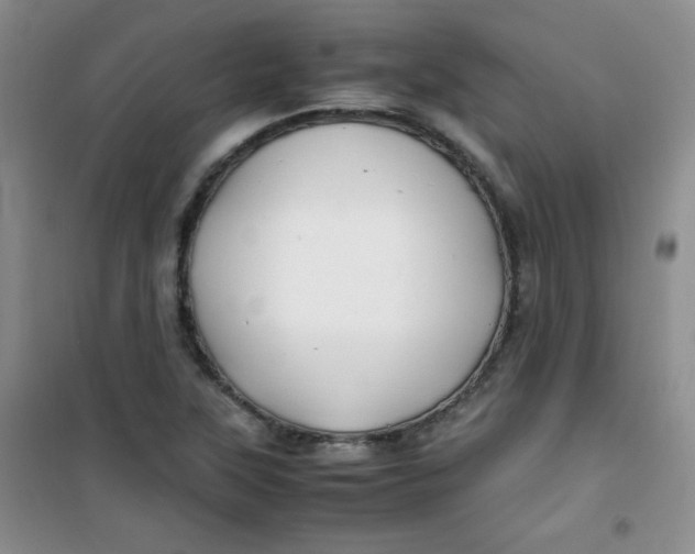 X0000100951315200807221112