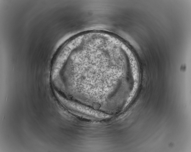 X0000100951316200807221112