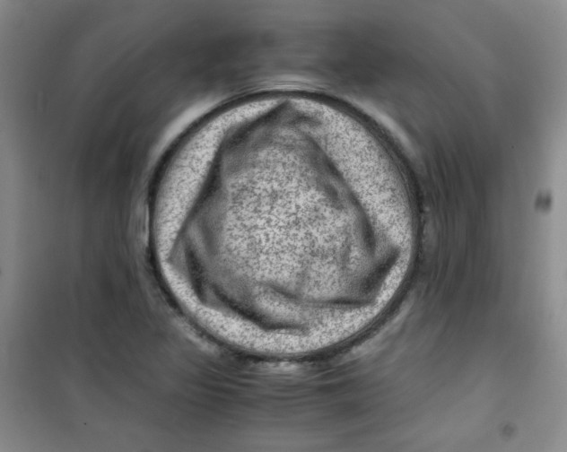 X0000100951317200807221112