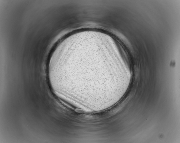 X0000100951318200807221112