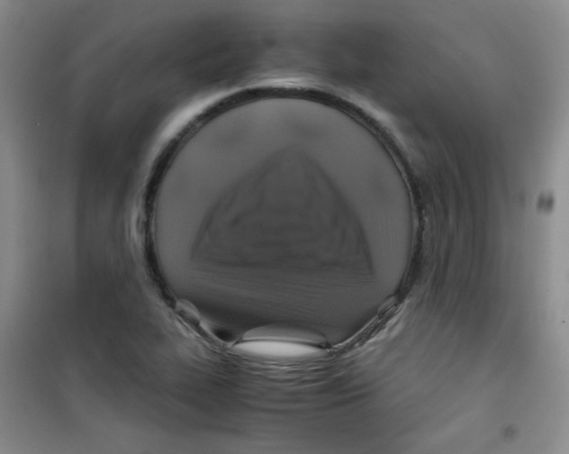 X0000100951319200807221112