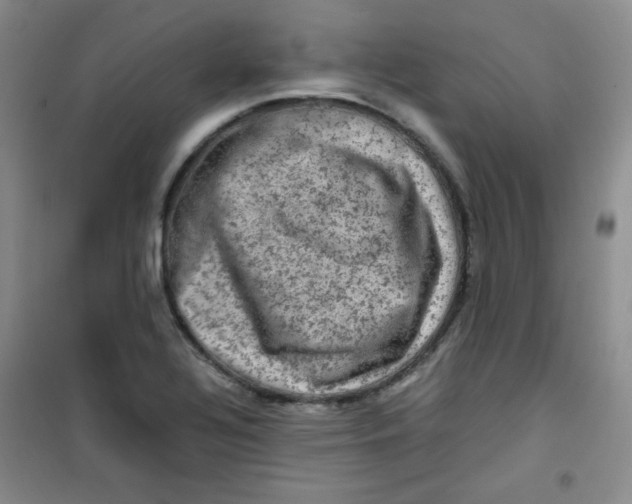 X0000100951320200807221112