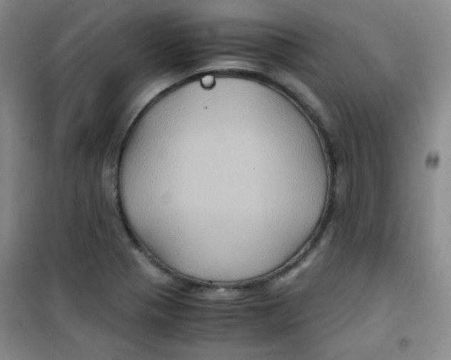 X0000100951321200807221112