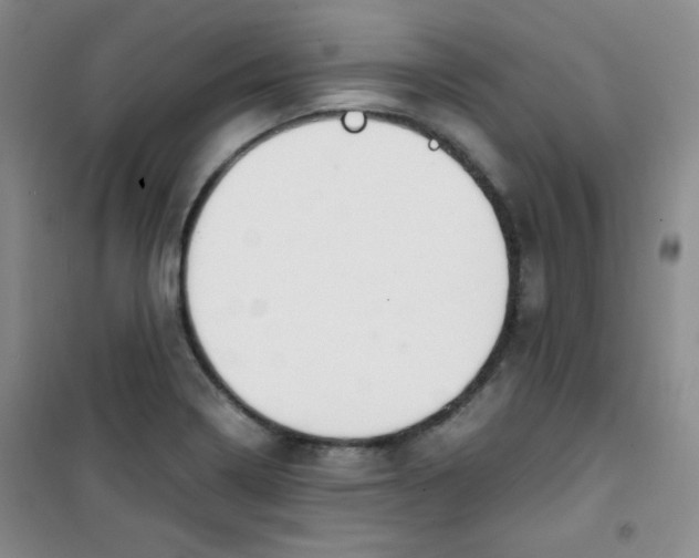 X0000100951322200807221112