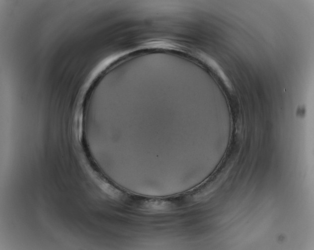 X0000100951323200807221112