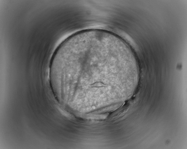 X0000100951324200807221112