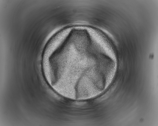 X0000100951325200807221112