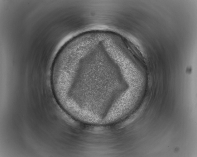 X0000100951326200807221112