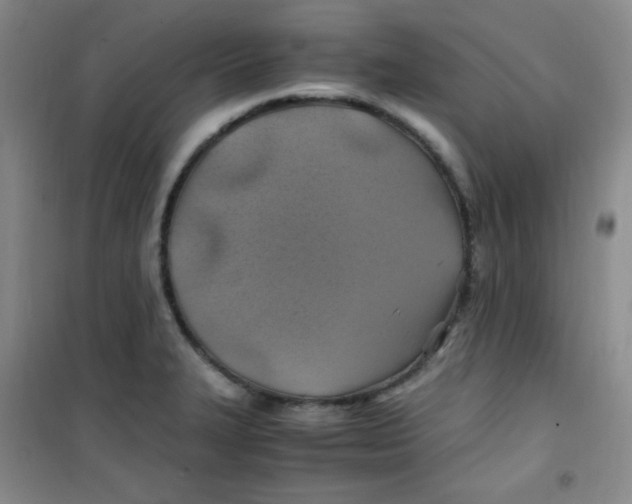 X0000100951327200807221112