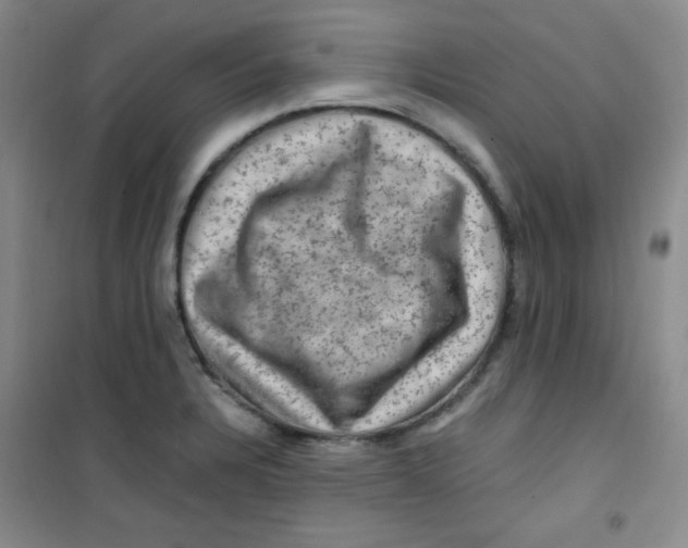 X0000100951328200807221112