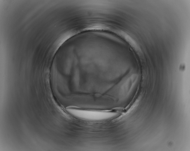 X0000100951329200807221112