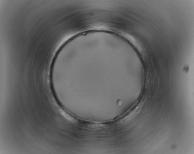 X0000100951331200807221112