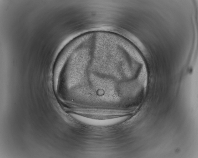 X0000100951332200807221112