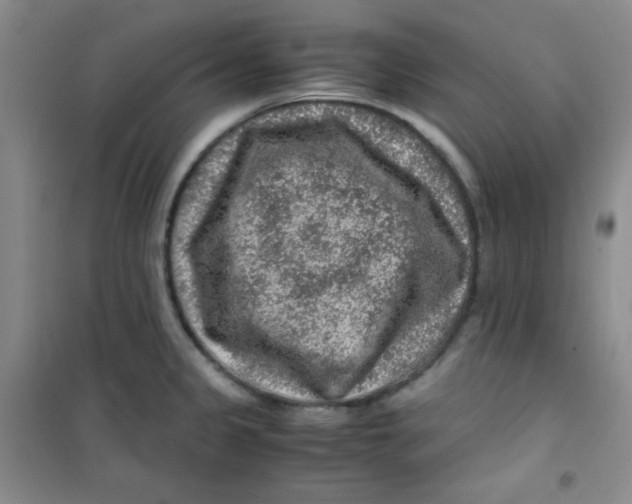 X0000100951333200807221112