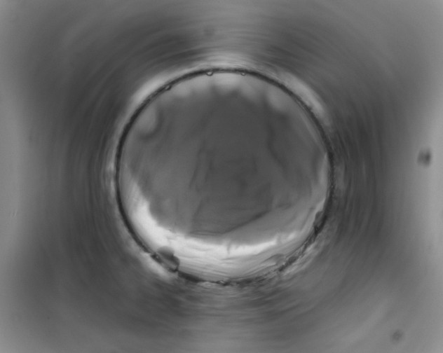 X0000100951334200807221112