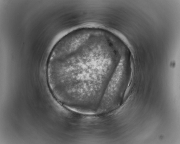 X0000100951335200807221112