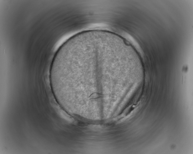 X0000100951336200807221112