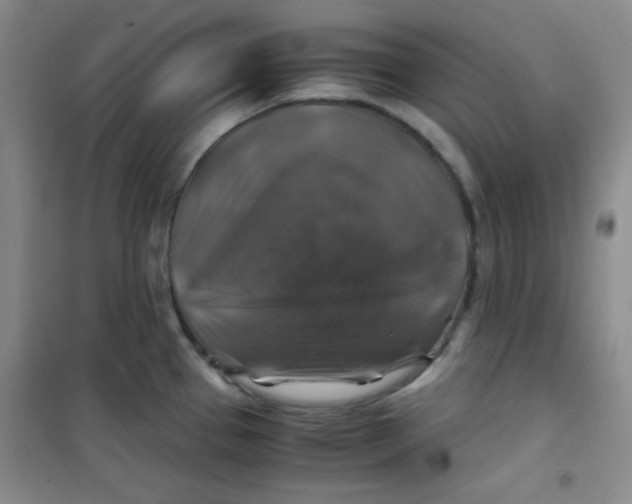 X0000100951337200807221112