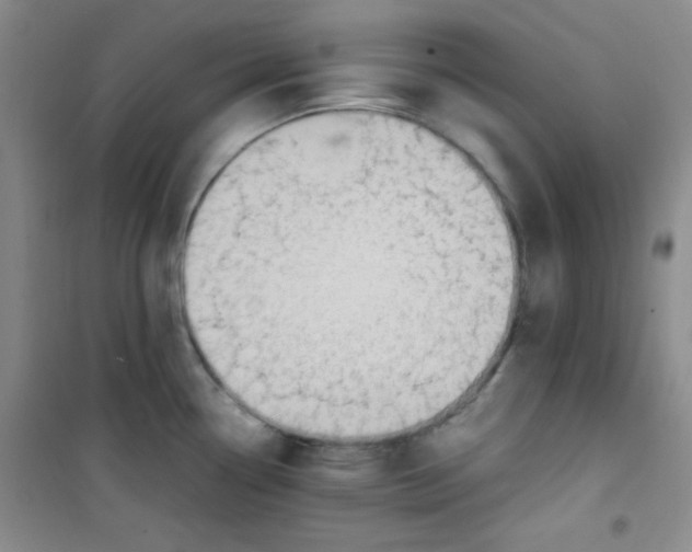 X0000100951338200807221112