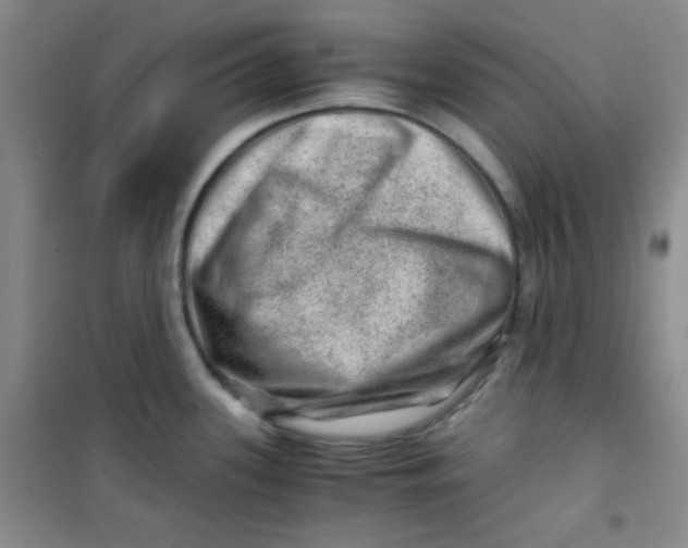 X0000100951339200807221112