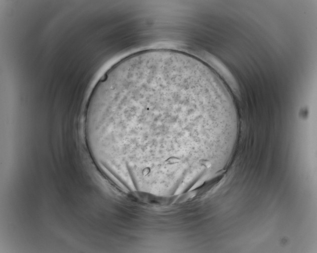 X0000100951340200807221112