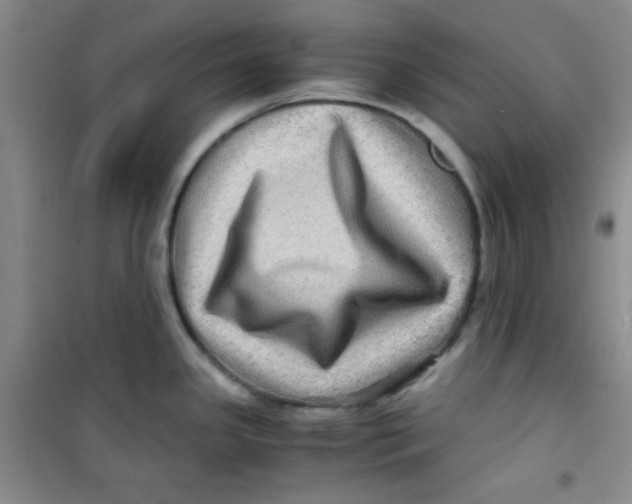 X0000100951341200807221112