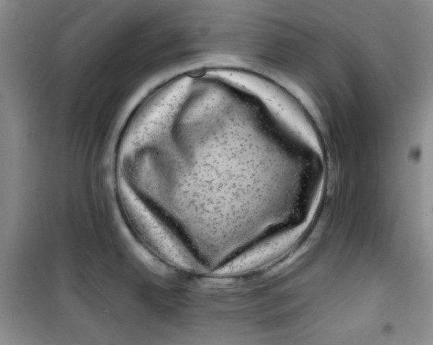 X0000100951342200807221112