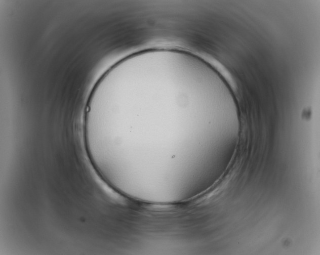 X0000100951343200807221112