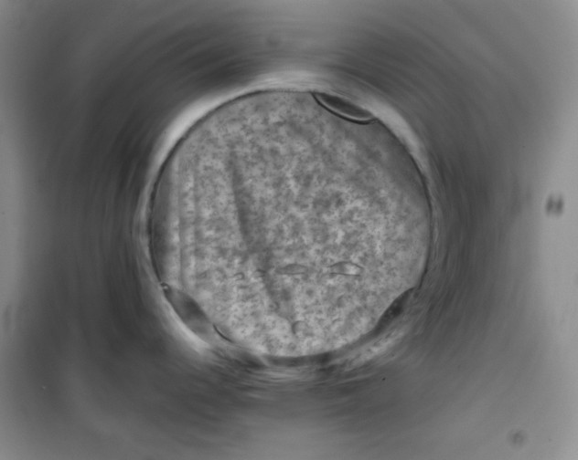 X0000100951344200807221112