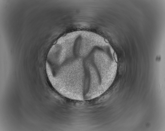 X0000100951345200807221111