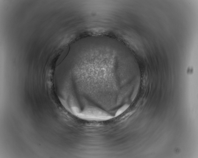 X0000100951346200807221111