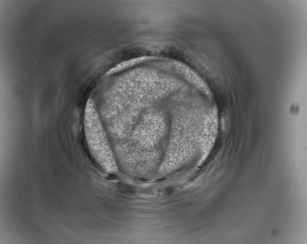 X0000100951347200807221111