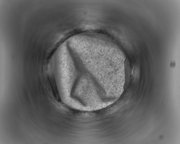 X0000100951348200807221111