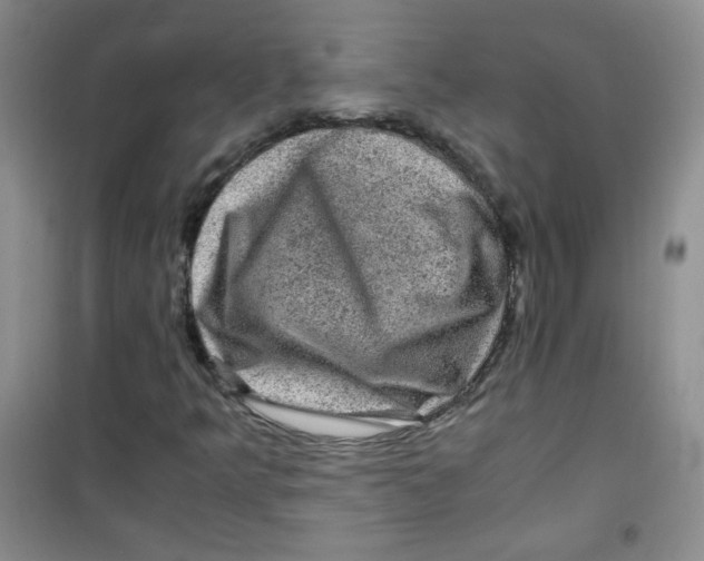 X0000100951349200807221111