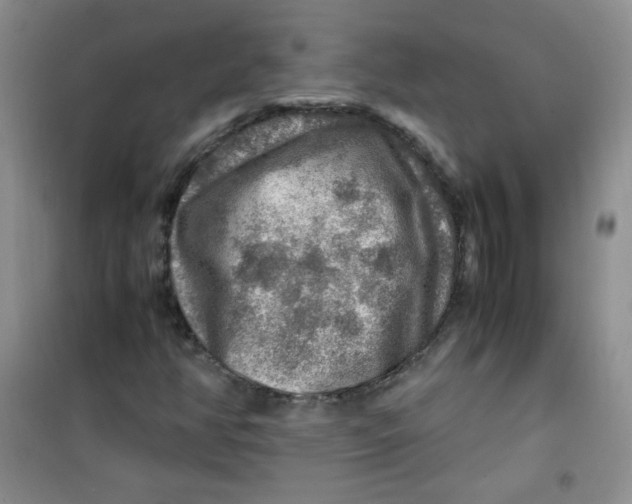 X0000100951350200807221111